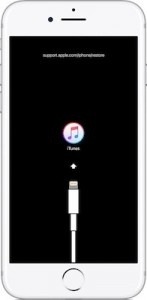 IPhone Connect To Itunes