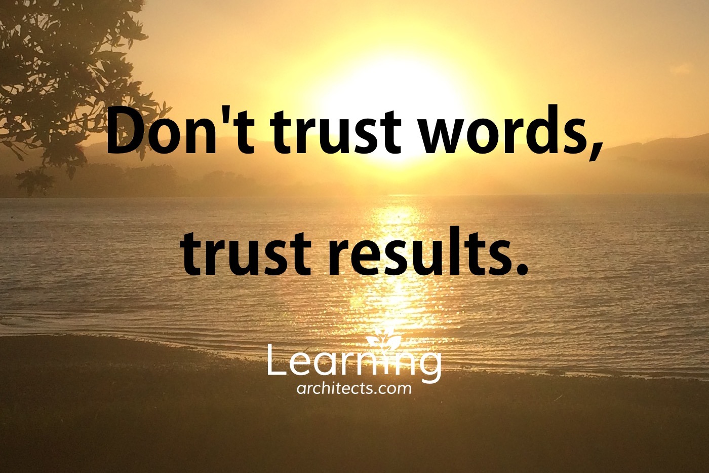 Dont Trust Words Trust Results