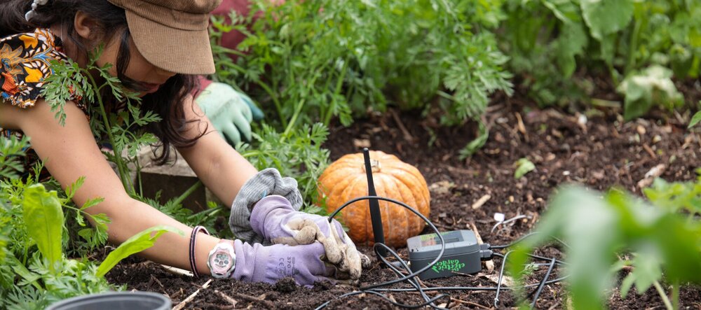 Girl Gardening With Electric Garden